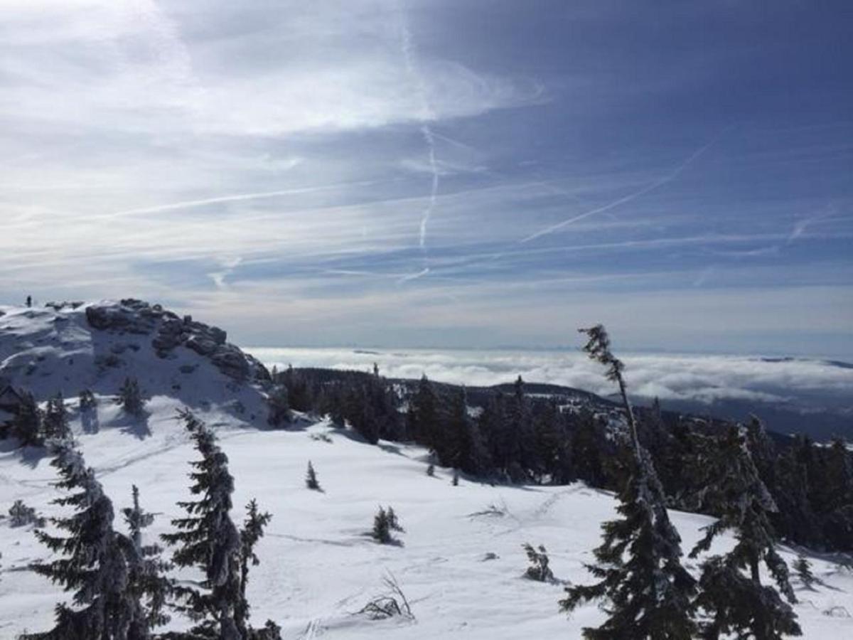 Schweizer Haeusl Lägenhet Bayerisch Eisenstein Exteriör bild